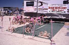 Barbie Death Camp