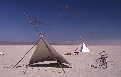Canopies on the Playa